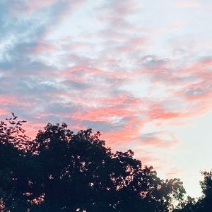 Meet your Posher, Elena